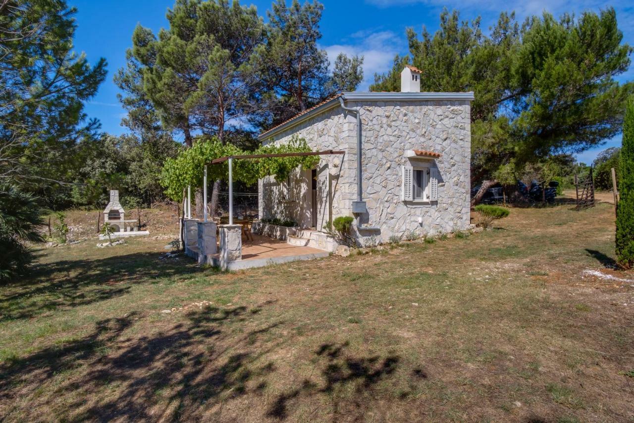 Eco House Zabodarski *